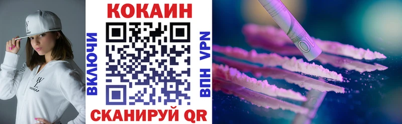 Купить закладки  Заводоуковск  Cocaine Fish Scale 