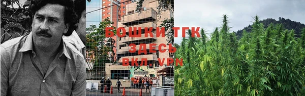 ПСИЛОЦИБИНОВЫЕ ГРИБЫ Вязьма