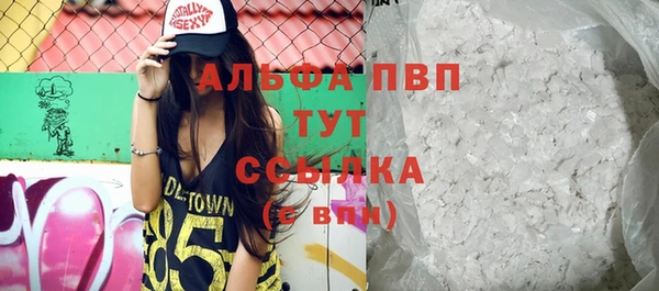 ПСИЛОЦИБИНОВЫЕ ГРИБЫ Вязьма