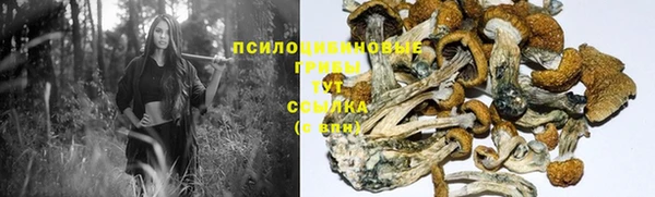 ПСИЛОЦИБИНОВЫЕ ГРИБЫ Вязьма