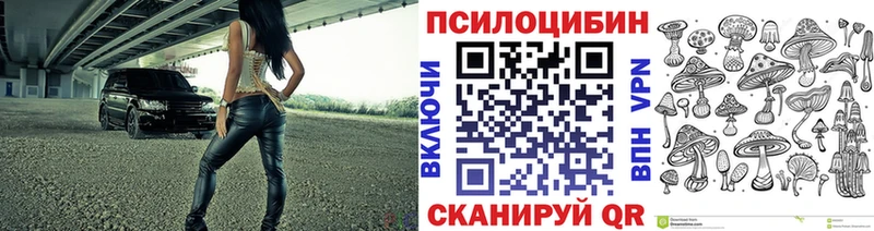 Купить где  Заводоуковск  Галлюциногенные грибы ЛСД 